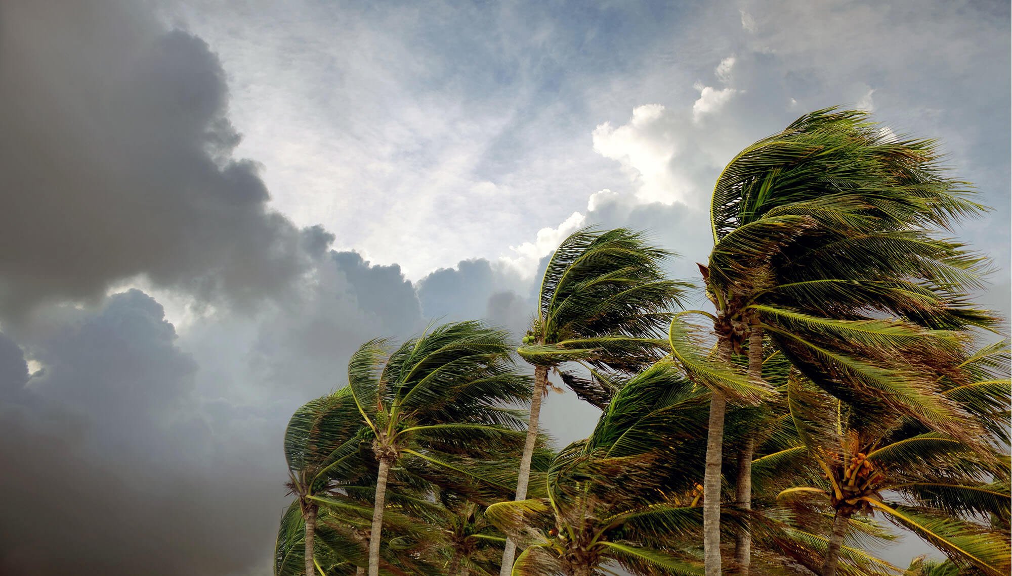 products-building-construction-florida-building-code-report-hero (miami).jpg